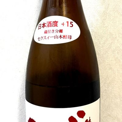 秋田県の酒