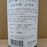 亀の海のレビュー by_カントナ