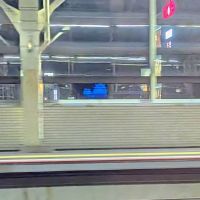 八重垣のレビュー by_カントナ