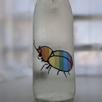 仙禽