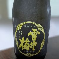 雪中梅