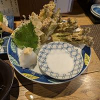 夢心のレビュー by_カントナ