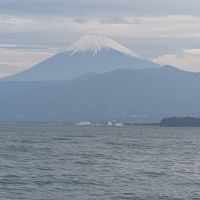 高砂のレビュー by_カントナ