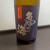 亀の海