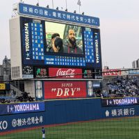 天狗舞のレビュー by_カントナ