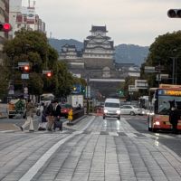 龍力のレビュー by_カントナ