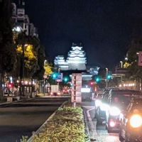 龍力のレビュー by_カントナ