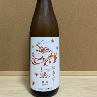永平寺白龍
