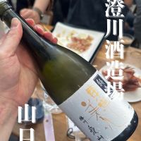 東洋美人