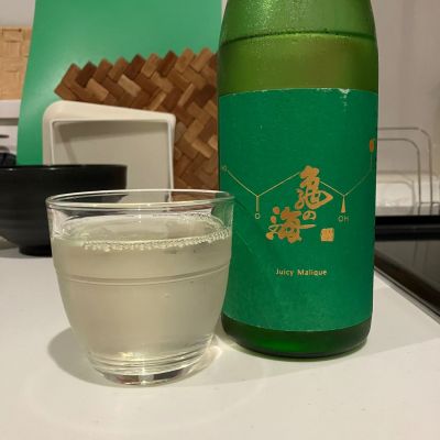 亀の海のレビュー by_i_ko_0501
