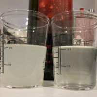 電照菊のレビュー by_i_ko_0501