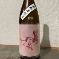 若駒のレビュー by_i_ko_0501