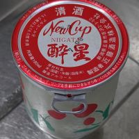 酔星