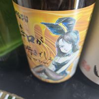 
            三芳菊_
            落下物さん