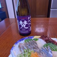 
            梵_
            y_a_aさん