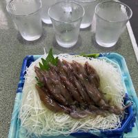 恵那山のレビュー by_y_a_a