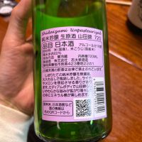 志太泉のレビュー by_y_a_a