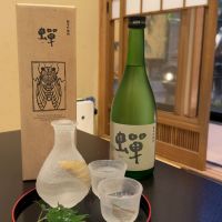 
            蝉_
            迦若さん