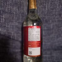 勝山のレビュー by_コケタニ