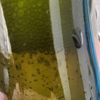 天蛙のレビュー by_日本酒ワールドを探索