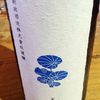 天蛙
