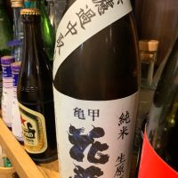 
            亀甲花菱_
            泰然自若さん