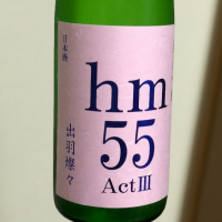 hm55