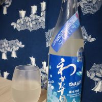 わかむすめ瑠璃唐草