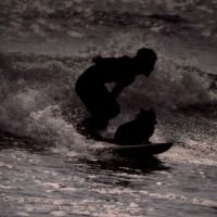 OCEAN99のレビュー by_ワン【犬】ダフル美酒放浪記