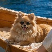 雅楽代のレビュー by_ワン【犬】ダフル美酒放浪記