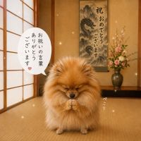 和可娘のレビュー by_ワン【犬】ダフル美酒放浪記