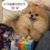 総乃寒菊のレビュー by_ワン【犬】ダフル美酒放浪記