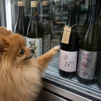 風の森のレビュー by_ワン【犬】ダフル美酒放浪記