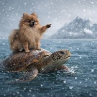 亀の海のレビュー by_ワン【犬】ダフル美酒放浪記