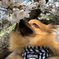 播州一献のレビュー by_ワン【犬】ダフル美酒放浪記