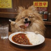 播州一献のレビュー by_ワン【犬】ダフル美酒放浪記