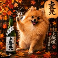上喜元のレビュー by_ワン【犬】ダフル美酒放浪記