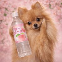 天美のレビュー by_ワン【犬】ダフル美酒放浪記