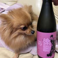 楽器正宗のレビュー by_ワン【犬】ダフル美酒放浪記