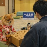 くどき上手のレビュー by_ワン【犬】ダフル美酒放浪記