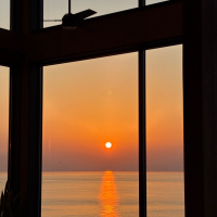 千年一のレビュー by_ワン【犬】ダフル美酒放浪記