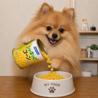 手取川のレビュー by_ワン【犬】ダフル美酒放浪記