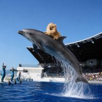 日高見のレビュー by_ワン【犬】ダフル美酒放浪記