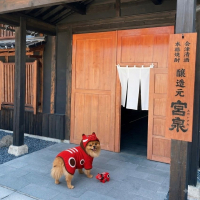 写楽（冩樂）のレビュー by_ワン【犬】ダフル美酒放浪記