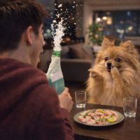 会津宮泉のレビュー by_ワン【犬】ダフル美酒放浪記