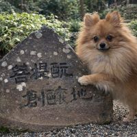 みむろ杉のレビュー by_ワン【犬】ダフル美酒放浪記