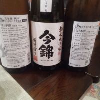 のレビュー by_坂本正敏