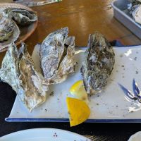 のレビュー by_坂本正敏