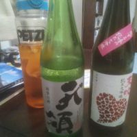 天領四季の酒/未来堂高山