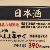 大山のレビュー by_ふとこみ